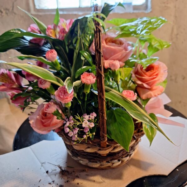 Plants for Gifting Cincinnati- Forever Never Seemed that Long