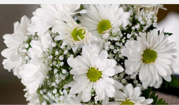 Flower Bouquet in Cincinnati-Pure Intention