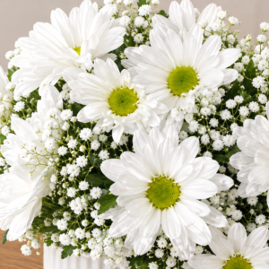 White Daisies and Baby’s Breath Bouquet Flower Bouquet in Cincinnati-Pure Intention
