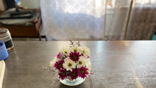 Flower Delivery Cincinnati-Daisy Teacup