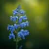 natural_looking_Blue_Delphiniu(1) Blue Delphinium - Single Stem