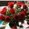 Dozen Roses Premium Edition