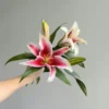 Single stem stargazer lily with vibrant pink petals and green leaves, symbolizing beauty and ambition.
