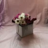 Flower Delivery Cincinnati-Daisy Teacup
