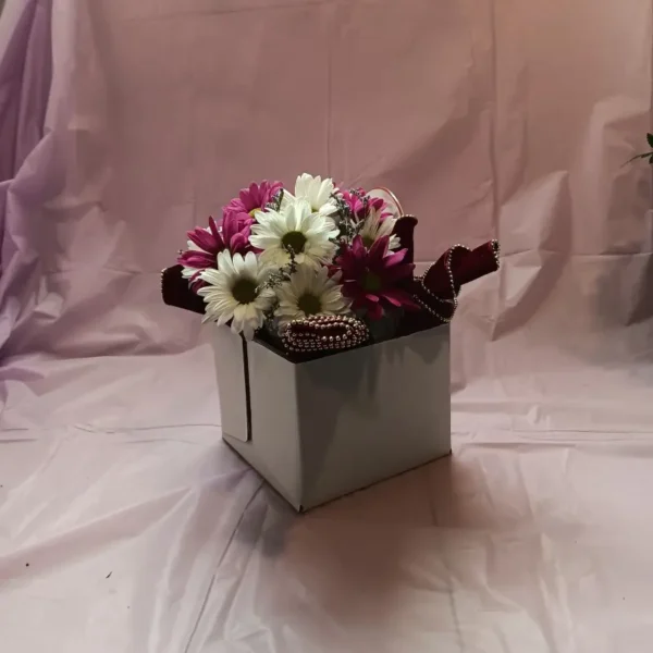 Flower Delivery Cincinnati-Daisy Teacup