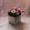 Flower Delivery Cincinnati-Daisy Teacup