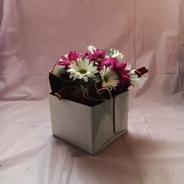 Flower Delivery Cincinnati-Daisy Teacup