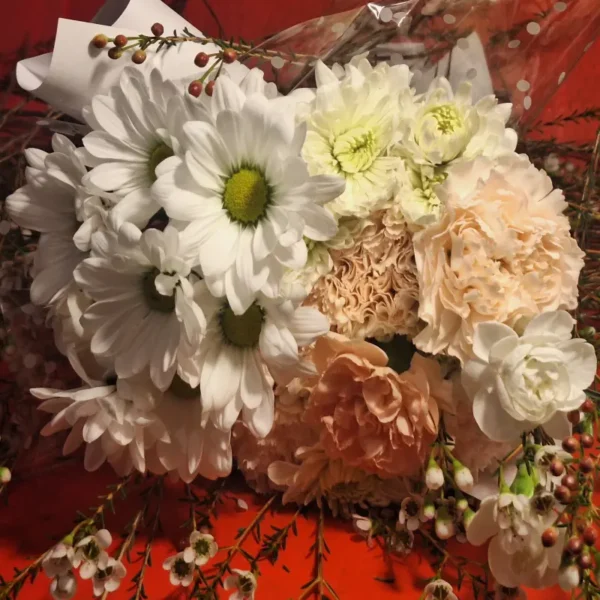 Bouquet of white daisies, peach carnations, and greenery wrapped in polka-dotted paper against a red background
