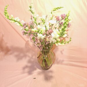 Softly Rising