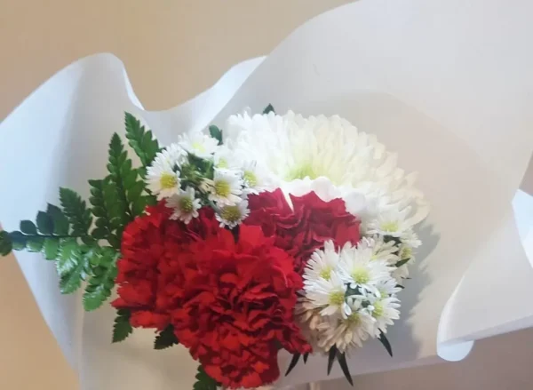 Easy-Breeze-Beautiful-Cover-Mom-1024x749 Red carnations and white cremón bouquet