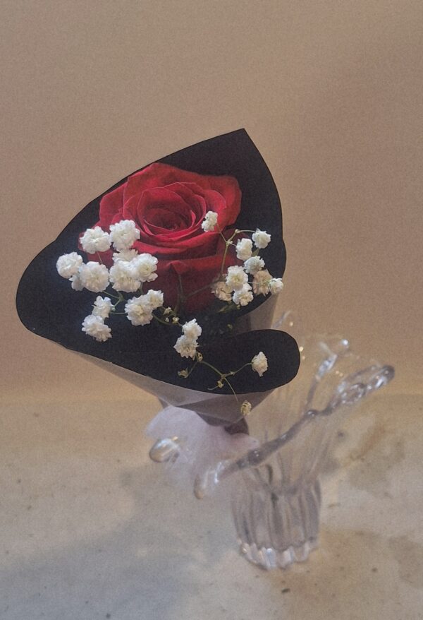 One Rose Wonder