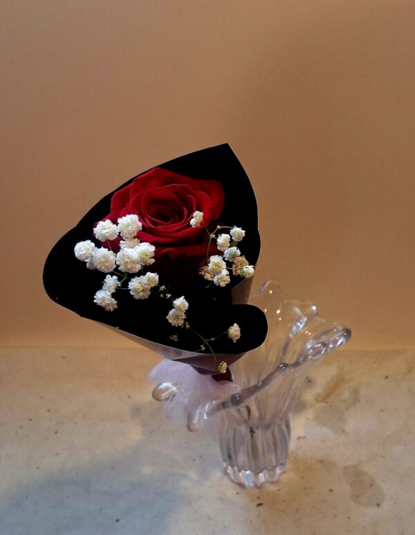 One Rose Wonder