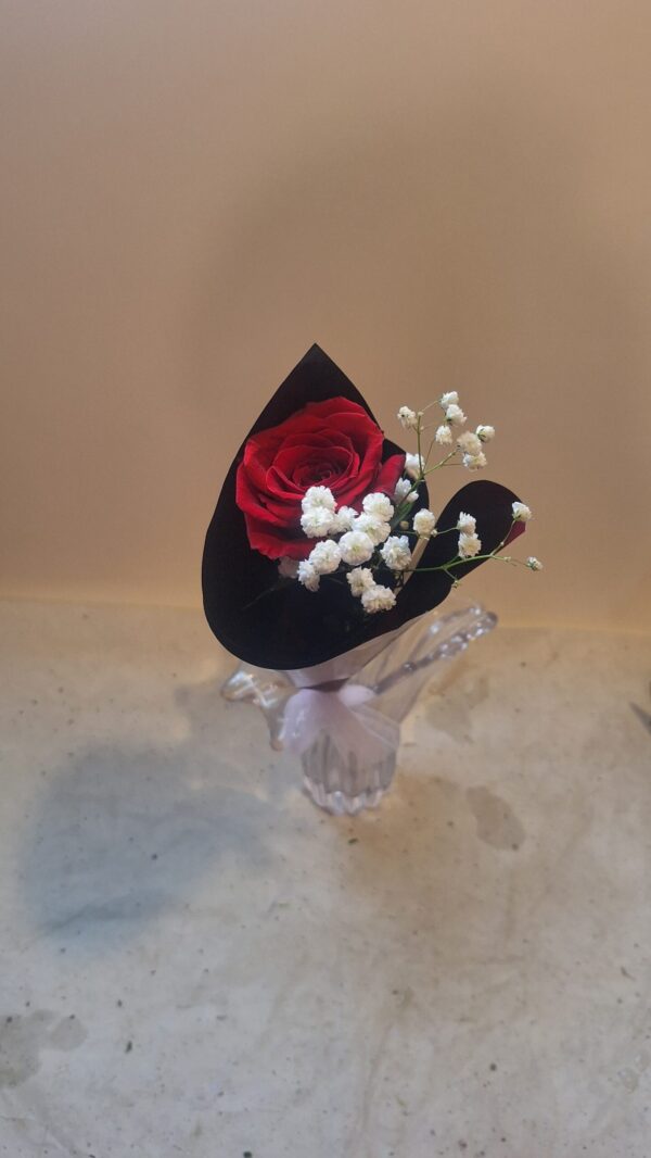 One Rose Wonder