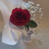 One Rose Wonder