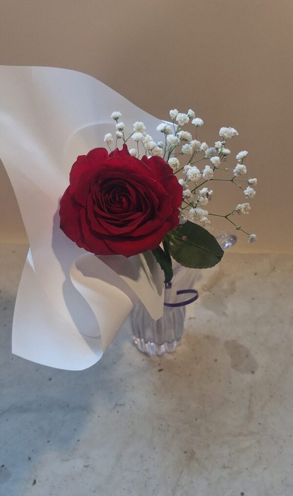 One Rose Wonder