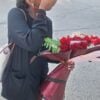Hearts on a String A Dozen Roses Wrapped