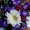 Handcrafted bouquet of white chrysanthemum, red blooms, and purple asters arranged with care, delivered fresh by a Cincinnati florist.