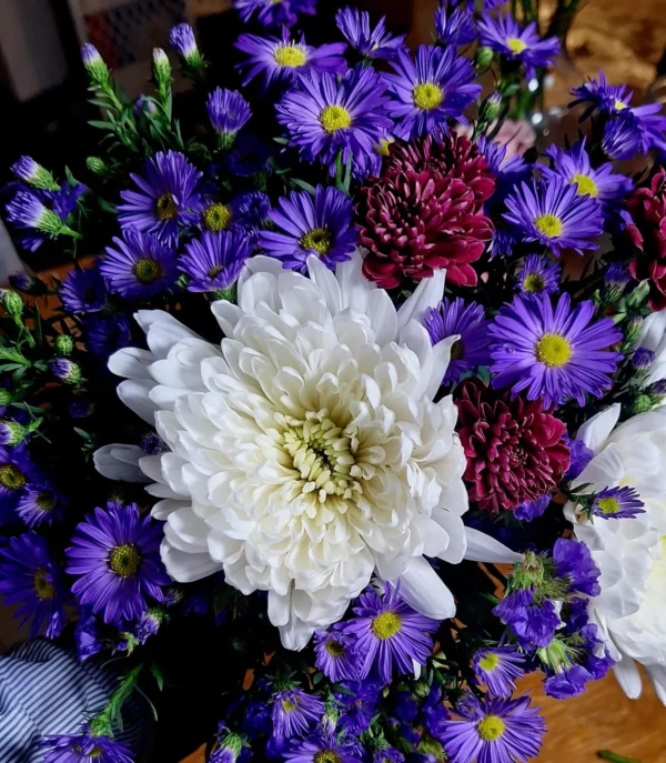 Handcrafted bouquet of white chrysanthemum, red blooms, and purple asters arranged with care, delivered fresh by a Cincinnati florist.
