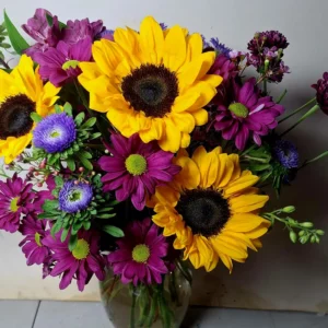 Purple Sunrise Blooms