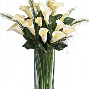 Tall clear vase with fresh white calla lilies, glossy green leaves, and feathery greenery arranged for Cincinnati flower delivery.