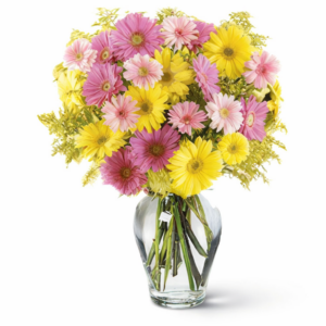Festival of Gerberas