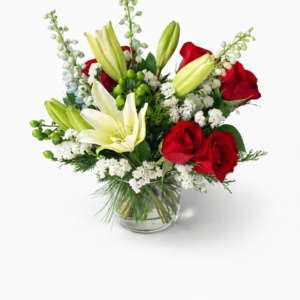 Scarlet & Snow