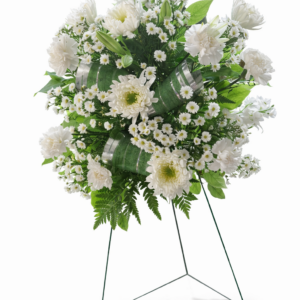 White Haven