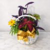 Handcrafted Annuals Plant Basket with fresh, premium flowers, delivered by local Cincinnati florist across Northern Kentucky.