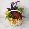 Handcrafted Annuals Plant Basket with fresh, premium flowers, delivered by local Cincinnati florist across Northern Kentucky.