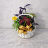 Handcrafted Annuals Plant Basket with fresh, premium flowers, delivered by local Cincinnati florist across Northern Kentucky.