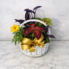 Handcrafted Annuals Plant Basket with fresh, premium flowers, delivered by local Cincinnati florist across Northern Kentucky.