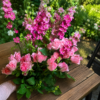 Crazy Beautiful bouquet of pink roses and magenta larkspur with lush greenery, handcrafted for freshness and reliable Cincinnati flower delivery.
