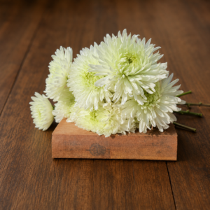 Handcrafted bouquet of fresh white chrysanthemums resting on a rustic book and wooden surface, symbolizing purity and devotion.