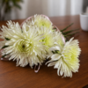 Fresh chrysanthemum bouquet with 5 stems for $19.99 or 10 stems for $38.99, delivered across Cincinnati and Northern Kentucky.
