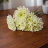 Fresh chrysanthemum bouquet with 5 stems for $19.99 or 10 stems for $38.99, delivered across Cincinnati and Northern Kentucky.