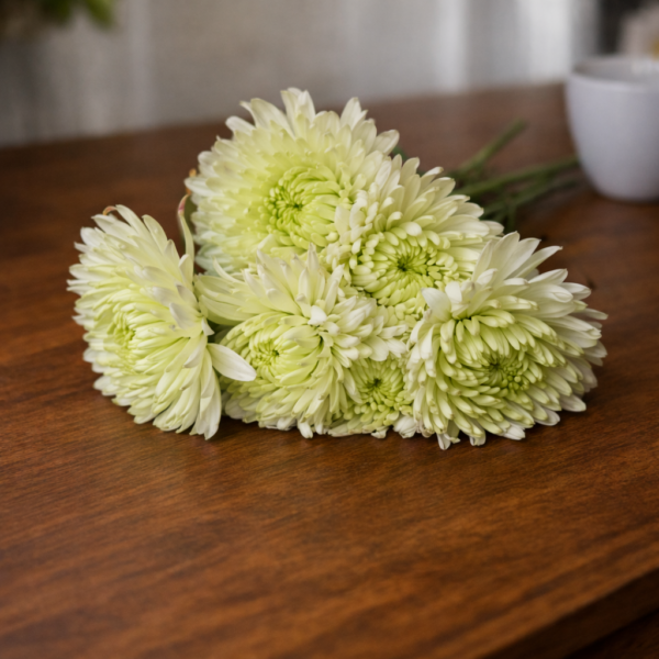 Fresh chrysanthemum bouquet with 5 stems for $19.99 or 10 stems for $38.99, delivered across Cincinnati and Northern Kentucky.