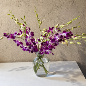 Elegant Orchid bouquet with purple and white orchids in a clear vase on a wooden table, surrounded by lush garden foliage.
