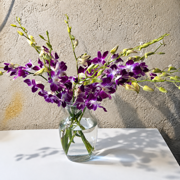 Elegant Orchid bouquet with purple and white orchids in a clear vase on a wooden table, surrounded by lush garden foliage.