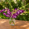 Elegant Orchid bouquet with purple and white orchids in a clear vase on a wooden table, surrounded by lush garden foliage.