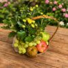 Wicker basket filled with fresh apples, pears, oranges, grapes, and seasonal flowers arranged for a get well gift.