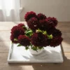 Queen Dahlia Royal Purple 4 Deep burgundy dahlia arrangement in a white ceramic vase with lush green foliage.