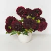 Queen Dahlia Royal Purple main Deep burgundy dahlia arrangement in a white ceramic vase with lush green foliage.
