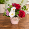 Samiras Potted Wonder